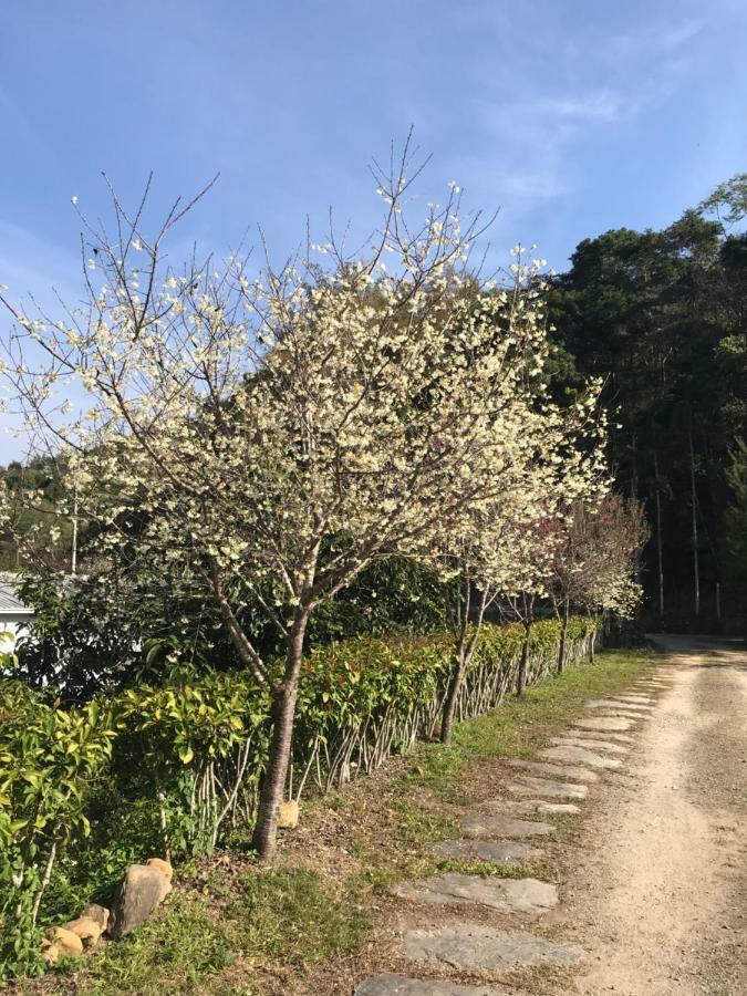 Mountain Gods B&B Nantou Екстер'єр фото